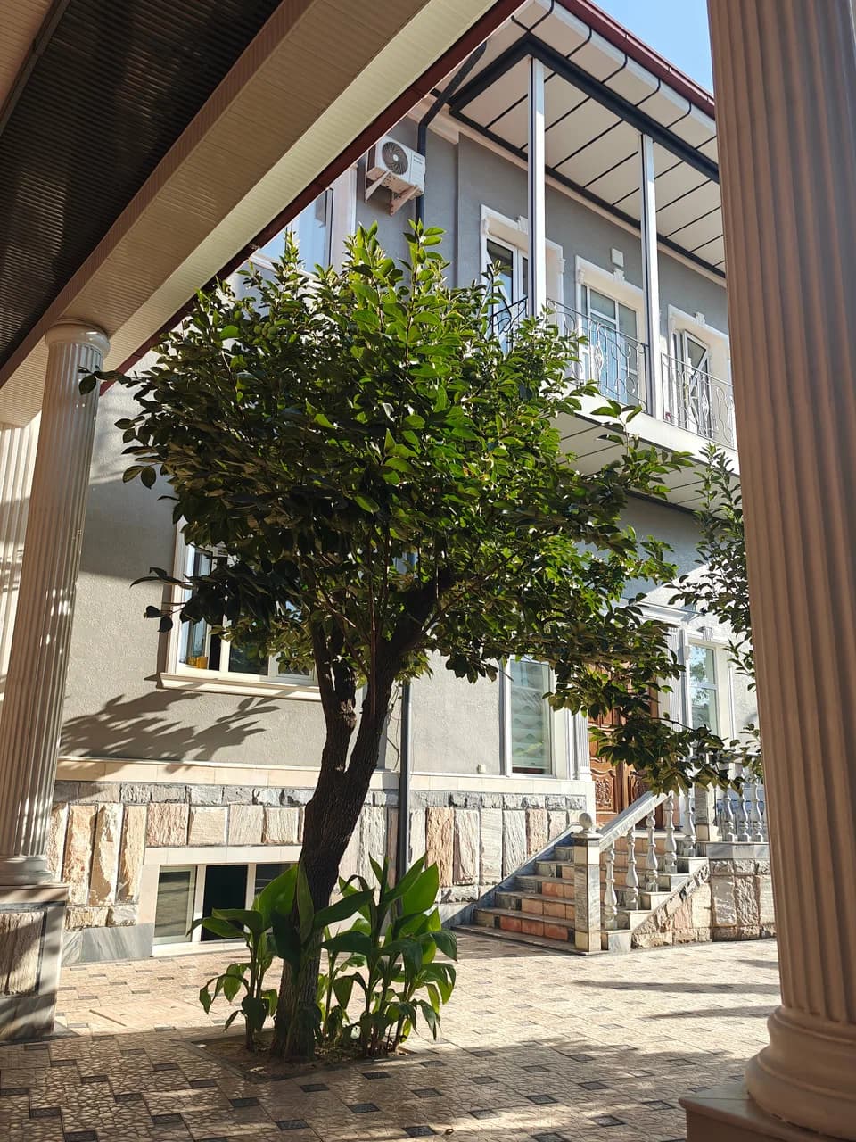 Дерево во внутреннем дворе Villa Anor, за ним фасад дома с балконом и парадной лестницей